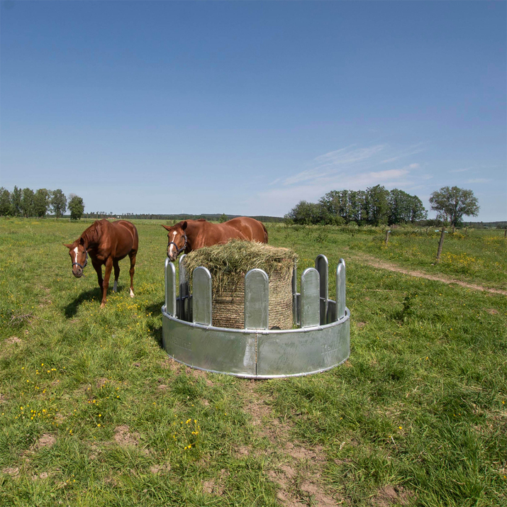 Fôrhekk med tildekkede bogbøyler for hest, 12 plasser