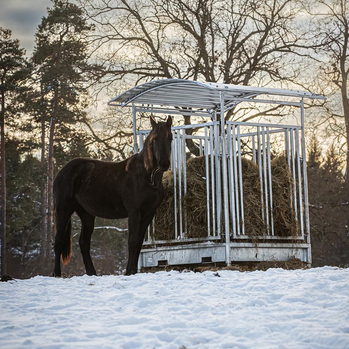 Fôrhekk med gittergrind for hest, 8 plasser