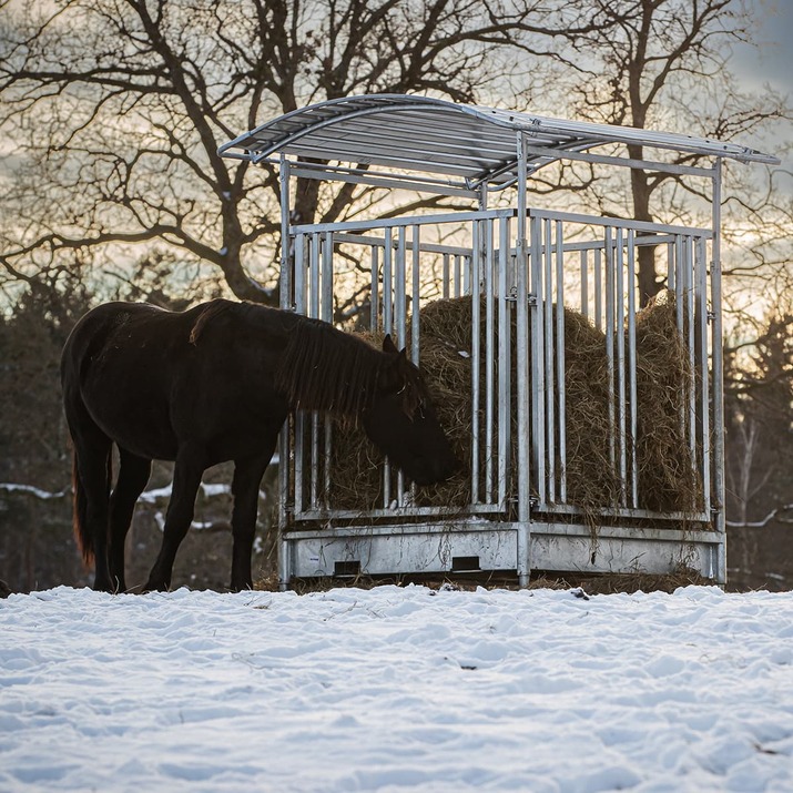 Fôrhekk med gittergrind for hest, 8 plasser