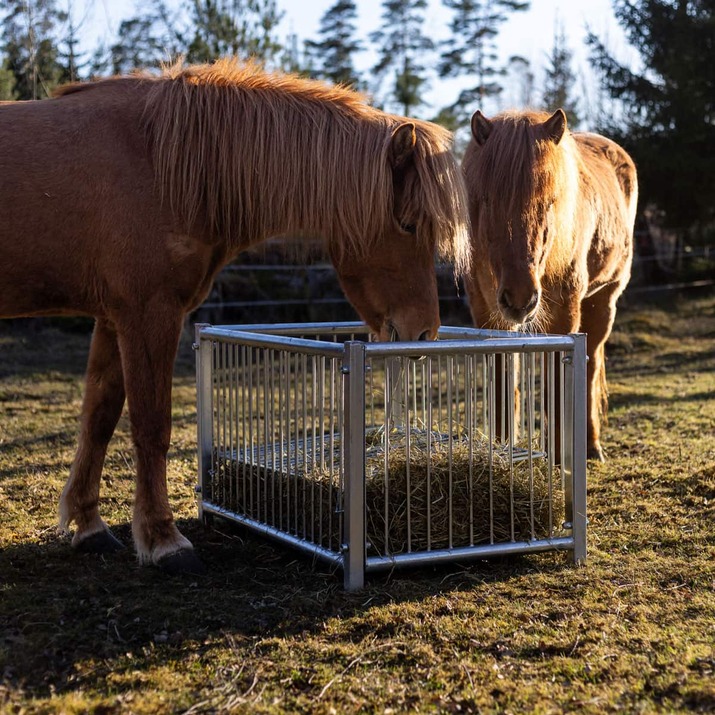 Fôrboks for hest