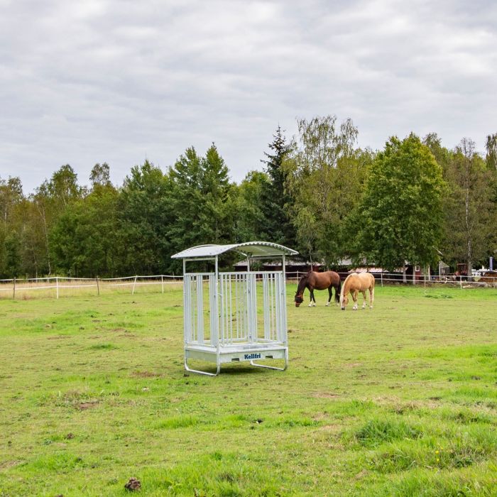 Fôrhekk med gittergrind for hest, 8 plasser