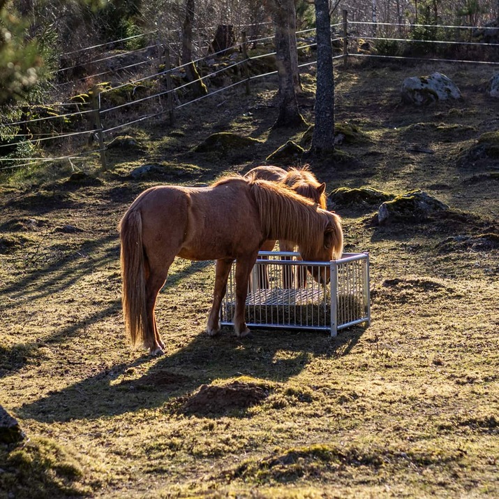 Fôrboks for hest