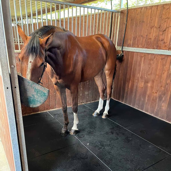 Stallmatte 20 mm, 1 x 1 m