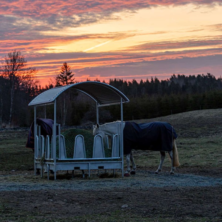 Fôrhekk med tak og tildekkede bogbøyler, for hest