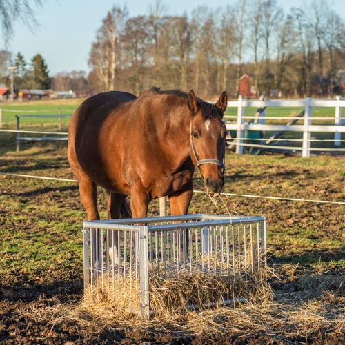 Fôrboks for hest