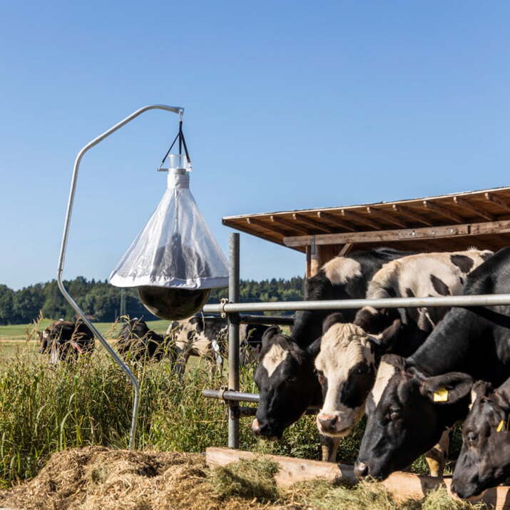 Bremsfelle TaonX med stativ