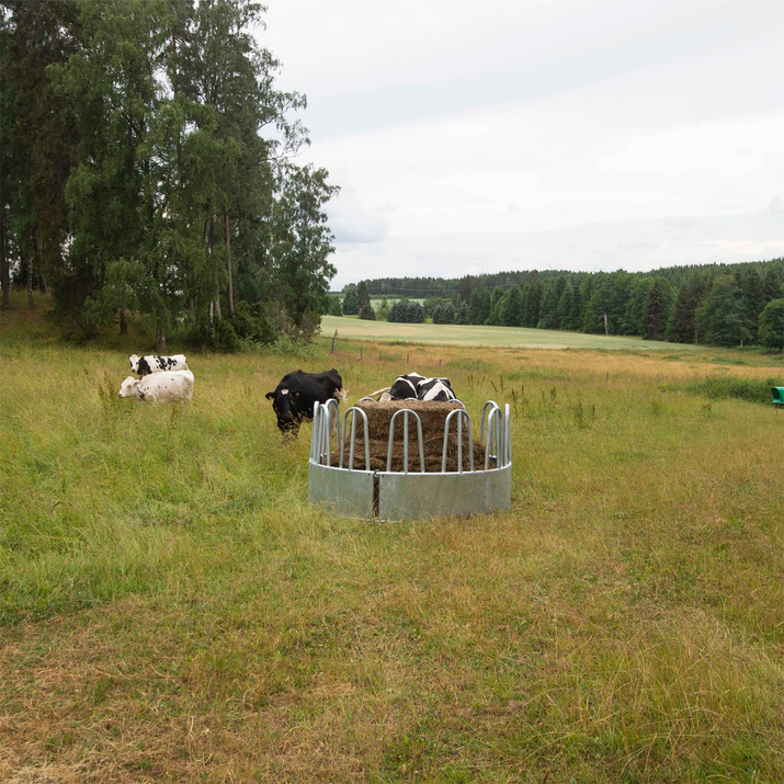 Fôrhekk med bogbøyler for storfe, 12 plasser