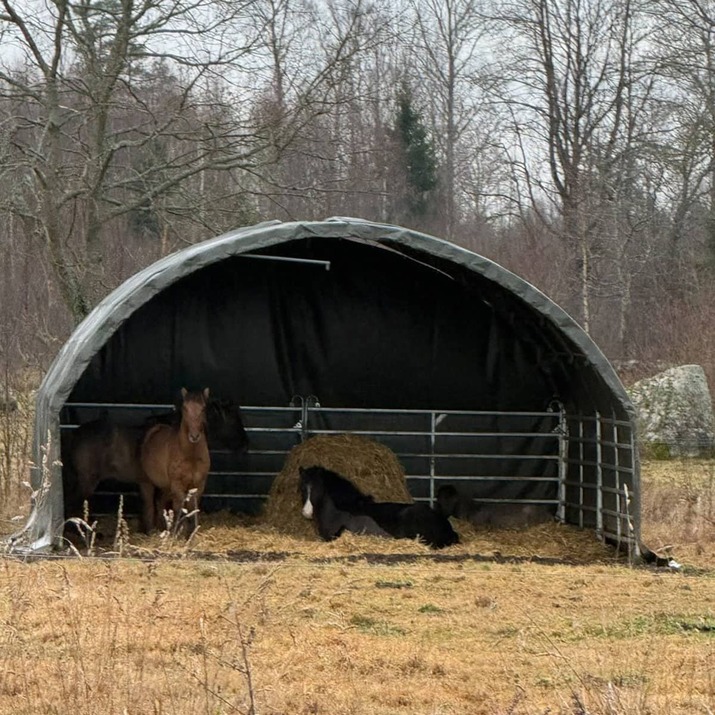 Leskur 6 x 6 m inkl. fotbøylegrinder