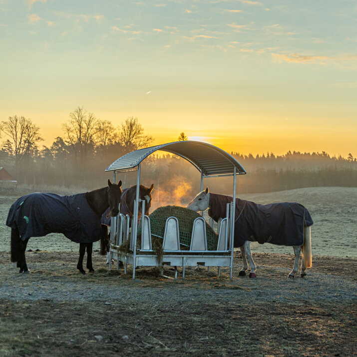 Fôrhekk med tak og tildekkede bogbøyler, for hest