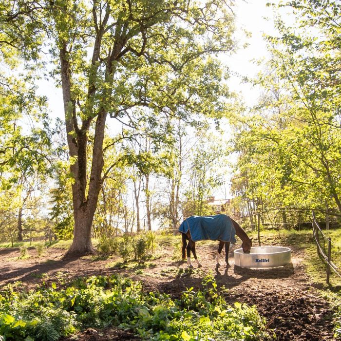 Fôrhekk til hest og storfe, 1,8 m ø4 deler