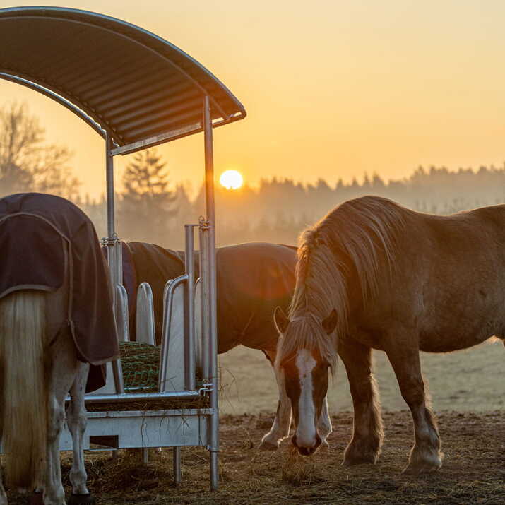 Fôrhekk med tak og tildekkede bogbøyler, for hest