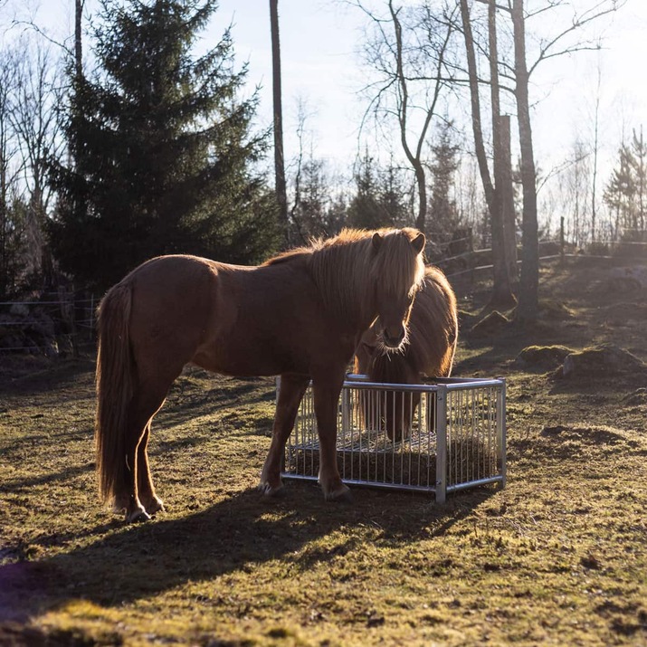 Fôrboks for hest