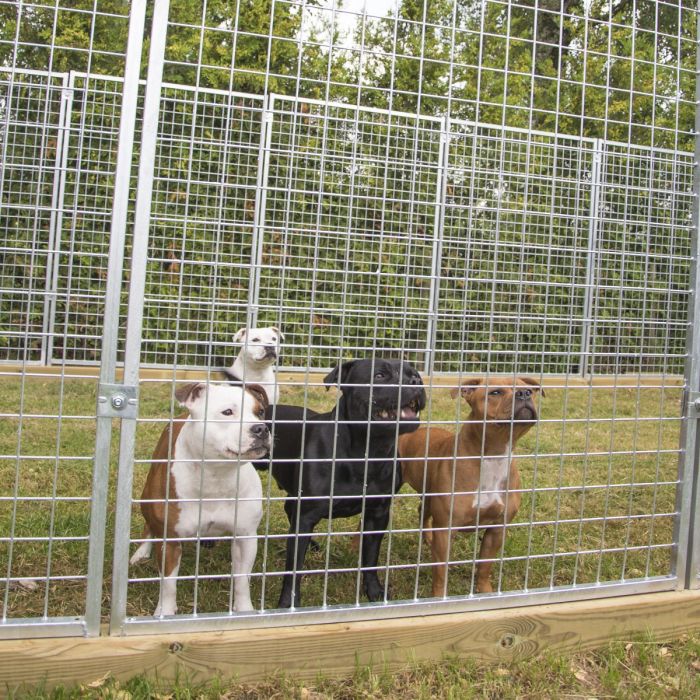 Hundegård Large, 15+1 seksjoner