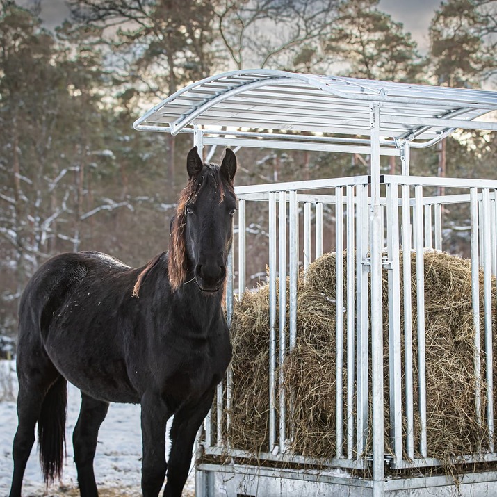 Fôrhekk med gittergrind for hest, 8 plasser